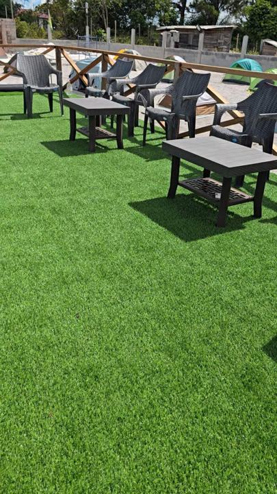 Lounge chairs on the turf